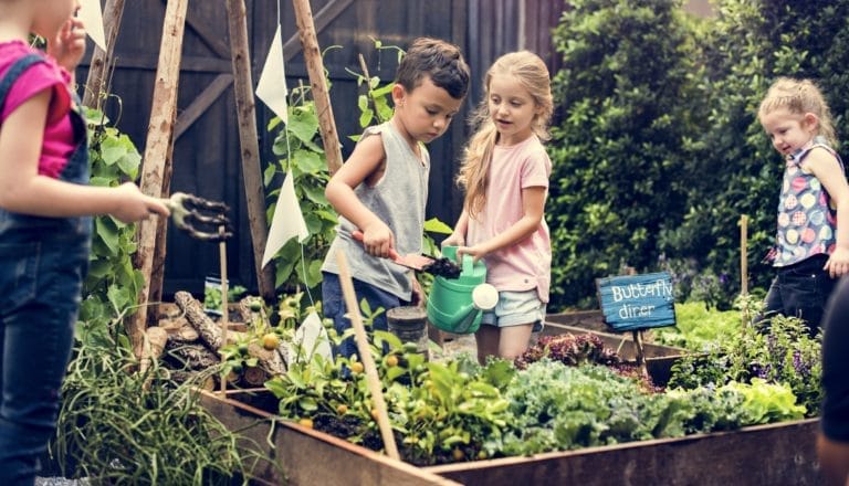 Enfants arrosant les plantes dans un potager pédagogique en extérieur